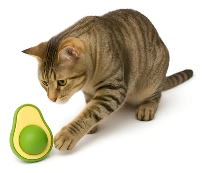 🥑✨ AvoCat™ – La Bola de Hierba Gatera que Despierta la Diversión Natural de tu Gato